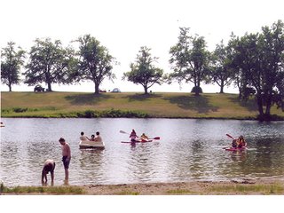 Property photo 39 - LAND AUCTION, 169+/- Acres offered in 6 Tracts, 77+/- Acres Quality Farmland